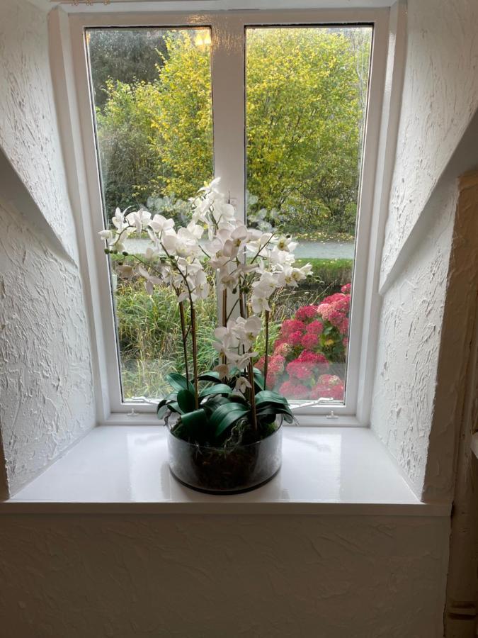 Canalside Cottage In The Heart Of Llangollen. Esterno foto